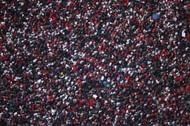 Toronto Raptors Victory Parade & Rally